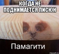 когда не поднимается писюн 