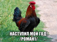  наступил мой год! /роман1/