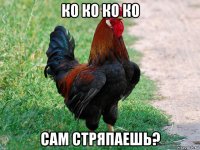 ко ко ко ко сам стряпаешь?