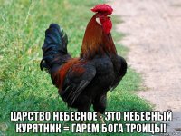  царство небесное - это небесный курятник = гарем бога троицы!