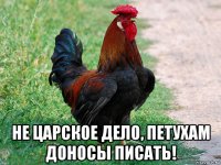  не царское дело, петухам доносы писать!