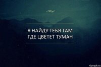 я найду тебя там где цветет туман