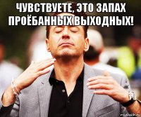 чувствуете, это запах проёбанных выходных! 