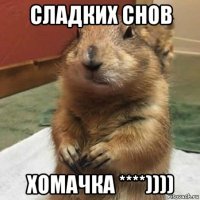 сладких снов хомачка ****))))