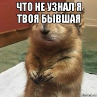 что не узнал я твоя бывшая 