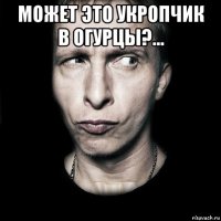 может это укропчик в огурцы?... 