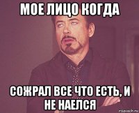 мое лицо когда сожрал все что есть, и не наелся