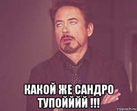  какой же сандро тупойййй !!!