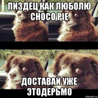 пиздец как люболю choco pie доставай уже этодерьмо