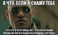 а что, если я скажу тебе что что в игре имбы нет, а всем игрокам промыли мозги видеообзорщики youtube?