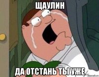 щаулин да отстань ты уже