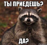 ты приедешь? да?