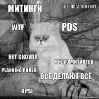 митинги много митингов PDS OPSI нет скоупа беклога тоже нет все делают всё WTF planning poker 