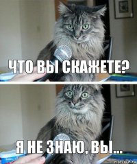 Что вы скажете? Я не знаю, вы...