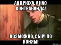 андрюха, у нас контрабанда! возможно, сыр! по коням!