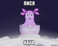 пися кака