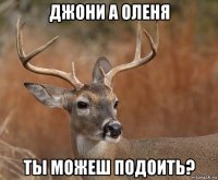 джони а оленя ты можеш подоить?