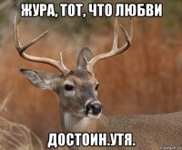 жура, тот, что любви достоин.утя.