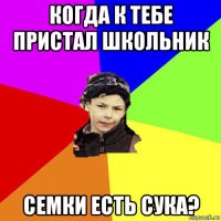 когда к тебе пристал школьник семки есть сука?