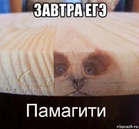 завтра егэ 