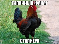 типичный фанат сталкера