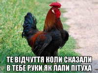  те відчуття коли сказали в тебе руки як лапи пітуха