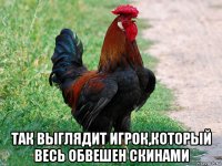  так выглядит игрок,который весь обвешен скинами