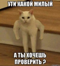 ути какой милый а ты хочешь проверить ?