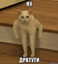 ну дратути