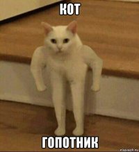 кот гопотник