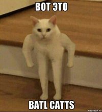 вот это batl catts