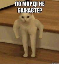 по морді не бажаєте? 