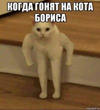 когда гонят на кота бориса 