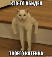 кто-то обидел твоего котенка