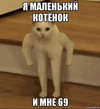 я маленький котёнок и мне 69