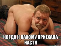  когда к пахому приехала настя