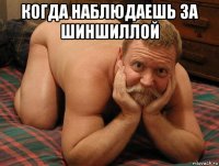 когда наблюдаешь за шиншиллой 