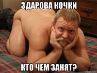 здарова кочки кто чем занят?