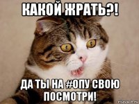 какой жрать?! да ты на #опу свою посмотри!