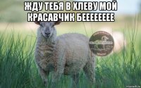 жду тебя в хлеву мой красавчик бееееееее 