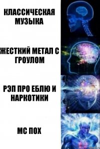 Классическая музыка Жесткий метал с гроулом Рэп про еблю и наркотики МС Пох