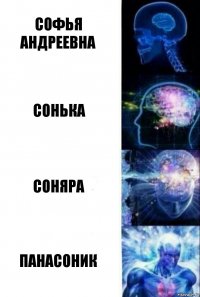 софья андреевна сонька соняра панасоник