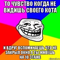 то чувство когда не видишь своего кота и вдруг вспоминаешь что не закрыл окно а ты живёшь на 10 этаже