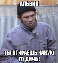 альвин ты втираешь какую то дичь!