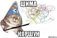 шима коршун