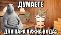 думаете для пара нужна вода?