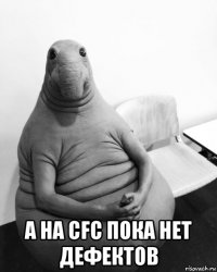  а на cfc пока нет дефектов