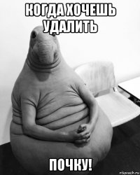 когда хочешь удалить почку!