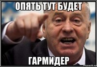 опять тут будет гармидер