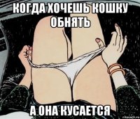 когда хочешь кошку обнять а она кусается